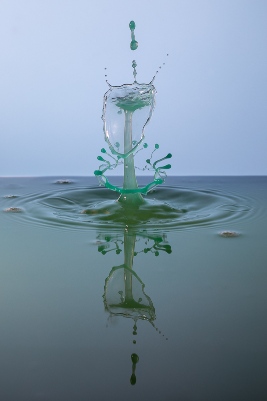 Liquid Art - Still Life - TaT - Tropfen - Tropfenfotografie - Wasserspritzer - Wassertropfen       von Anna Kropf | Franco Tessarolo