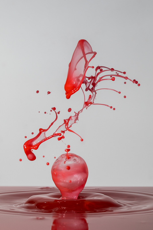 Instagram - Liquid Art - Still Life - TaT - Tropfen - Tropfenfotografie - View_F - Wasserspritzer - Wassertropfen   von Anna Kropf | Franco Tessarolo