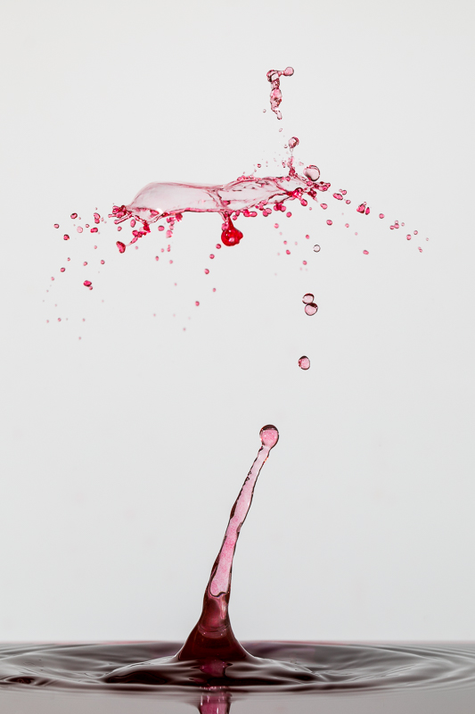 Liquid Art - Still Life - TaT - Tropfen - Tropfenfotografie - Wasserspritzer - Wassertropfen       von Anna Kropf | Franco Tessarolo