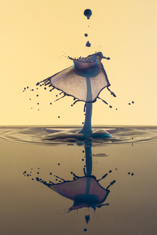 Liquid Art - Still Life - TaT - Tropfen - Tropfenfotografie - View_F - Wasserspritzer - Wassertropfen     von Anna Kropf | Franco Tessarolo