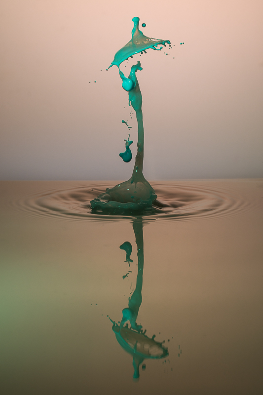 Liquid Art - Milch - Still Life - TaT - Tropfen - Tropfenfotografie - Wasserspritzer - Wassertropfen     von Anna Kropf | Franco Tessarolo