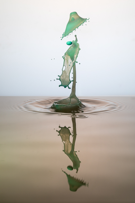 Liquid Art - Milch - Still Life - TaT - Tropfen - Tropfenfotografie - Wasserspritzer - Wassertropfen     von Anna Kropf | Franco Tessarolo