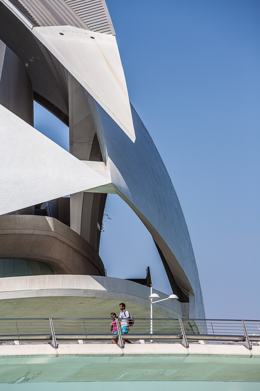 Architektur - Brücke - Calatrava - Palau de les Arts - Spanien - Valencia         von Franco Tessarolo